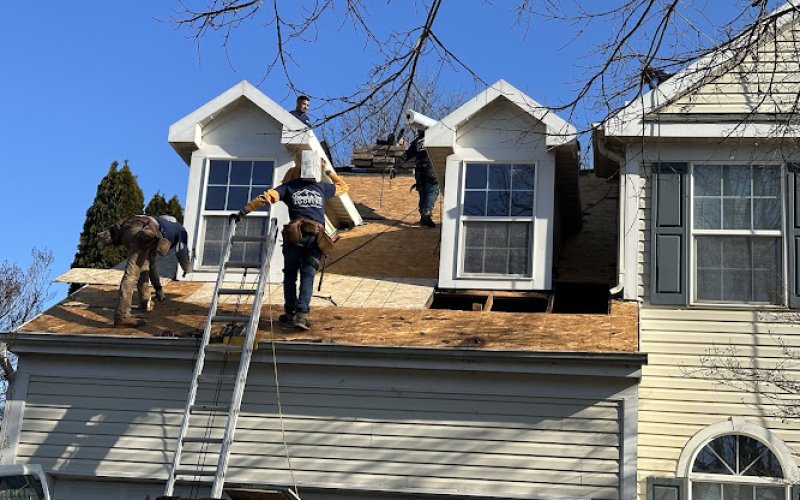 Michael & Son Roofing — Roofing contractor in Alexandria