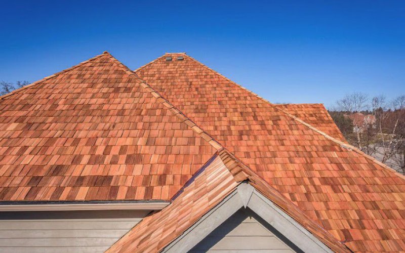 Global Exterior Experts
