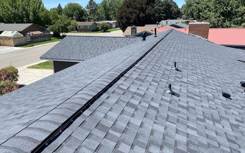 Blue Goat Roofing Inc.