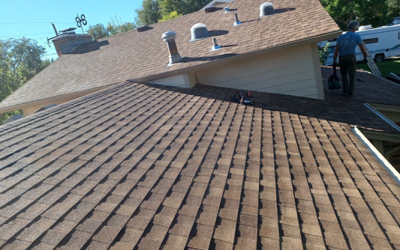 Van Lier Roofing