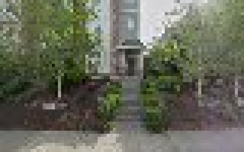 Sound Roofing Solutions Everett