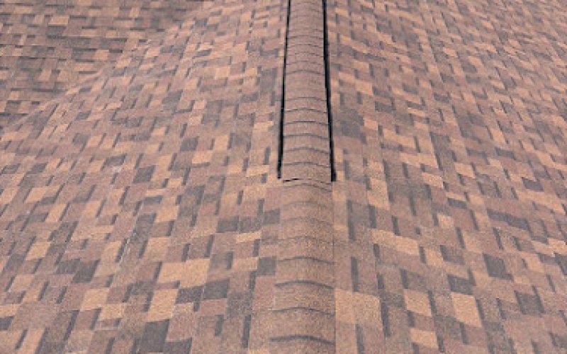 Mighty Dog Roofing of Northern Colorado