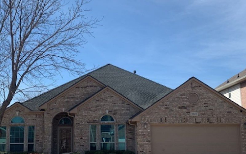 Roof Experts