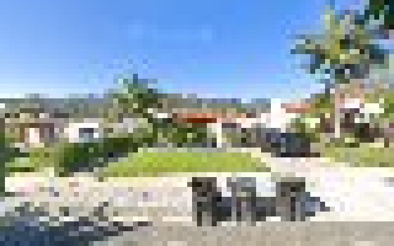 Glendale CA Roofing & Commercial Roof Repair — Roofing contractor in Glendale