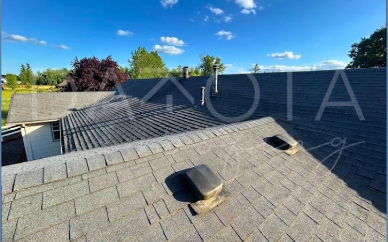 Hayward Roofing Pro