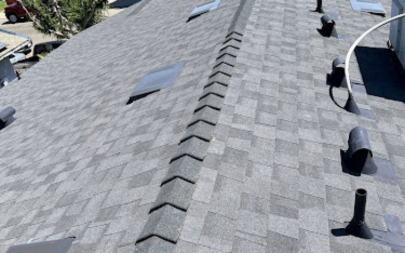 Nxt Level Roofing and Construction LLC — Roofing contractor in Hillsboro