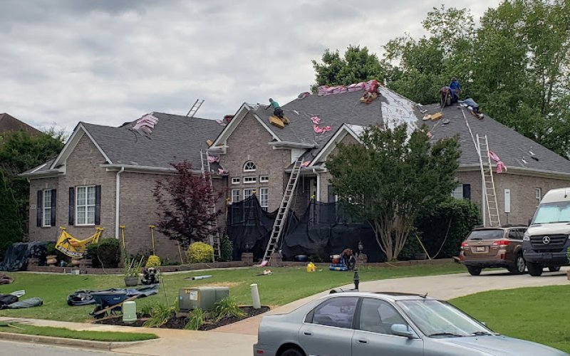 Mighty Dog Roofing