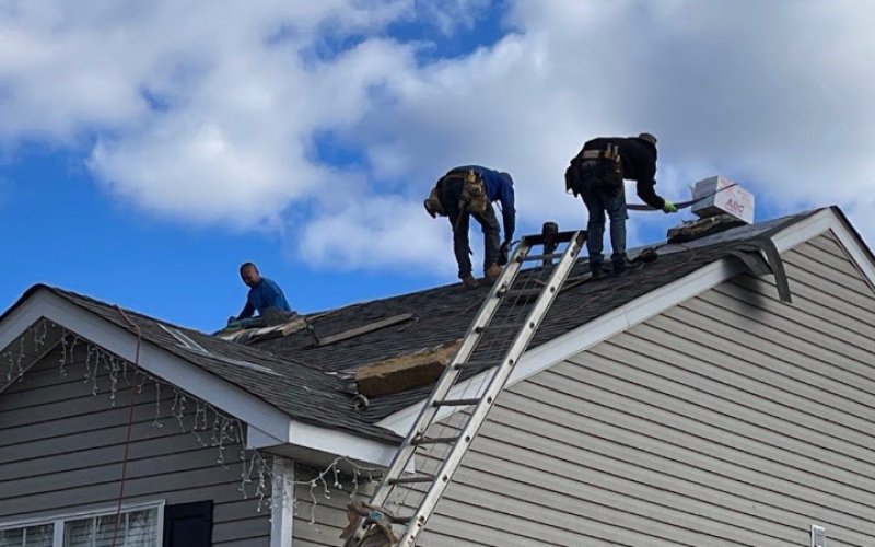 Busy Bee Roofing