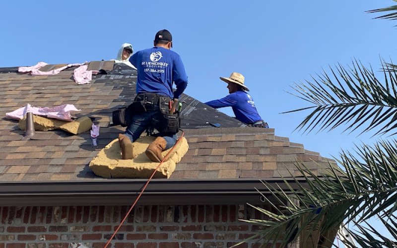 Blue Monkey Roofing