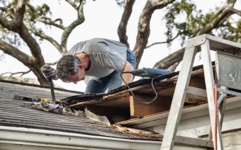 Capital Roofing Guys