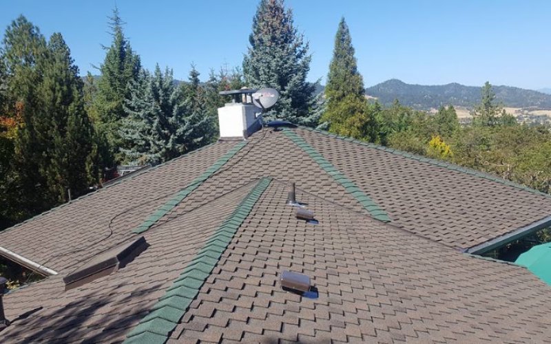 Skye Roofing