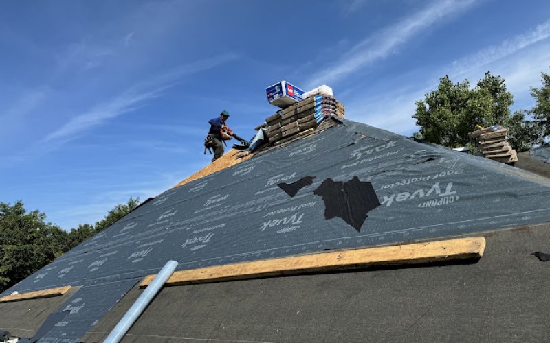 cerberus construction llc