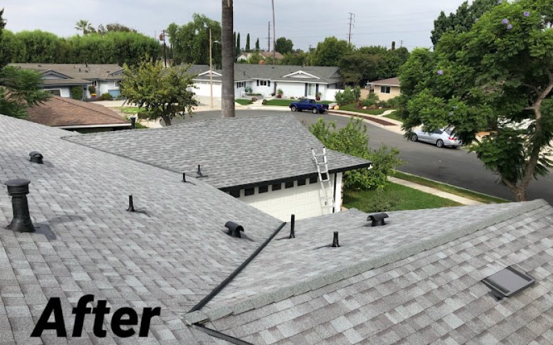 Level Up Roofing
