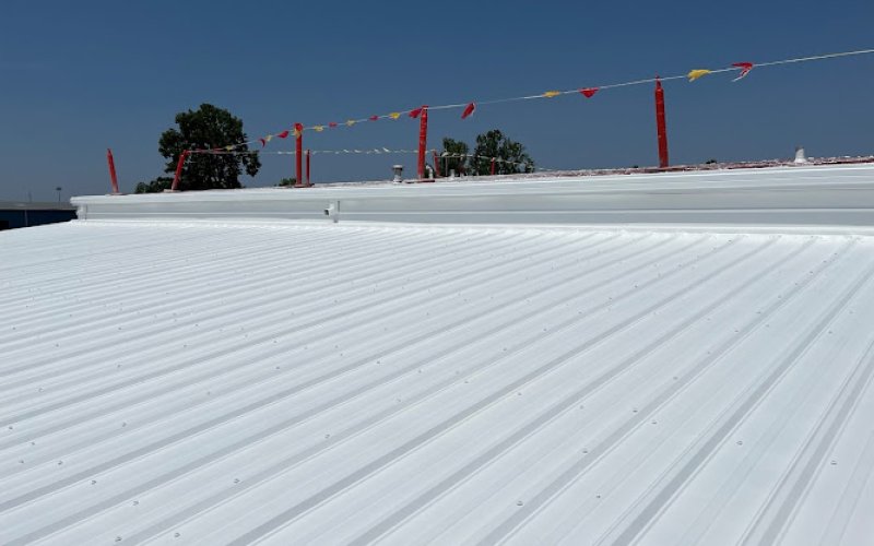 Nevada Roofing Division