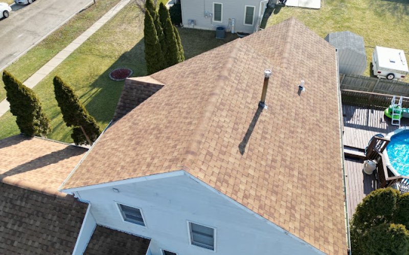 Honeybee Roofing