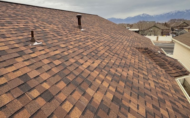 Shingle Pro Roofing