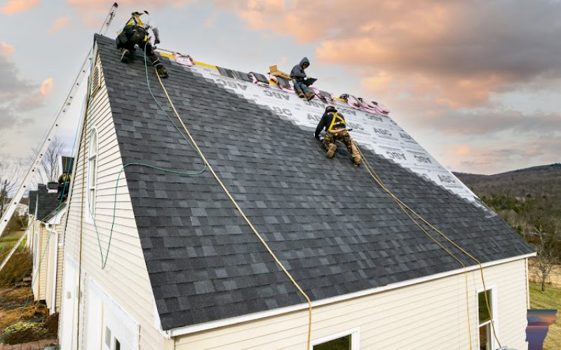 509 Roofs & Exteriors
