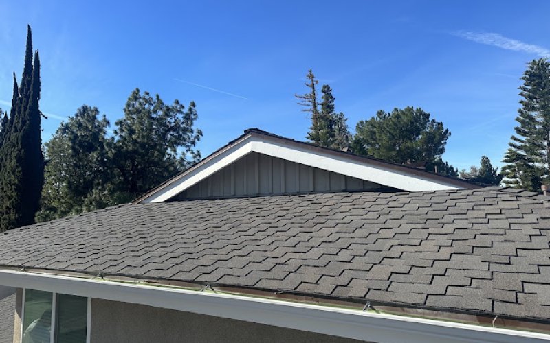 Alpha Roofing