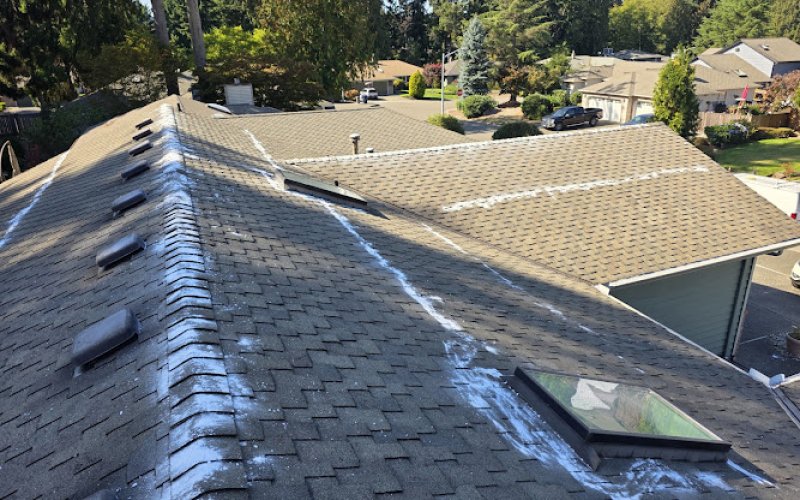 ACME Roofing