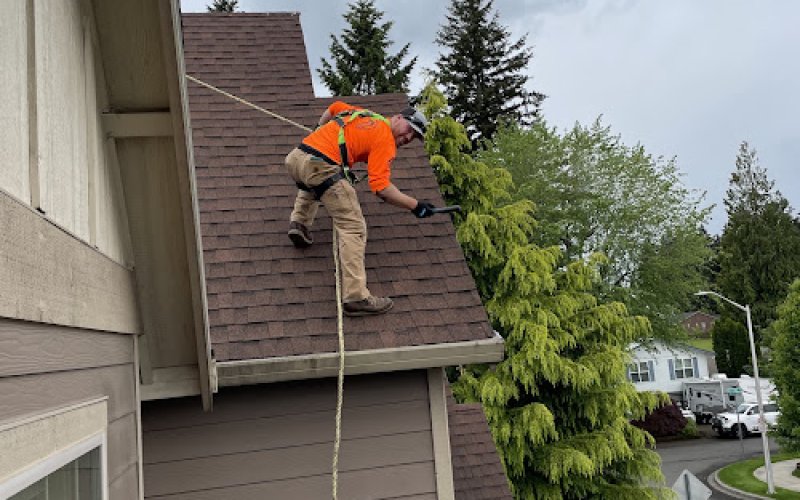 IBEX Roof Tacoma