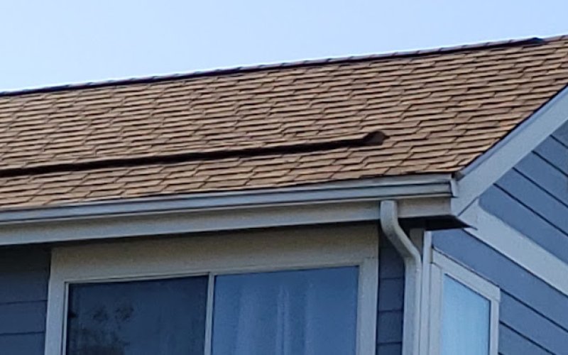 Bear Brothers Roofing